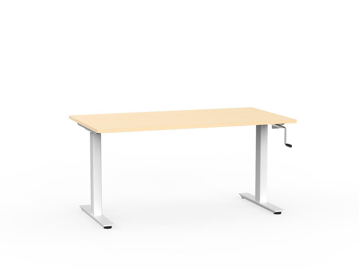 Standing Desk Inividual Manual height adjustable standing desk