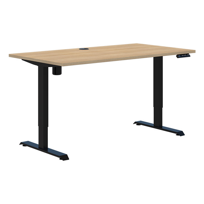 Duo II Electric Desk
