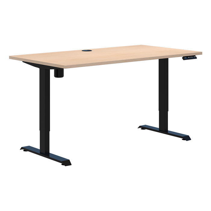 Duo II Electric Desk