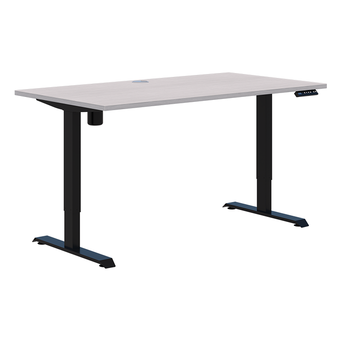 Duo II Electric Desk