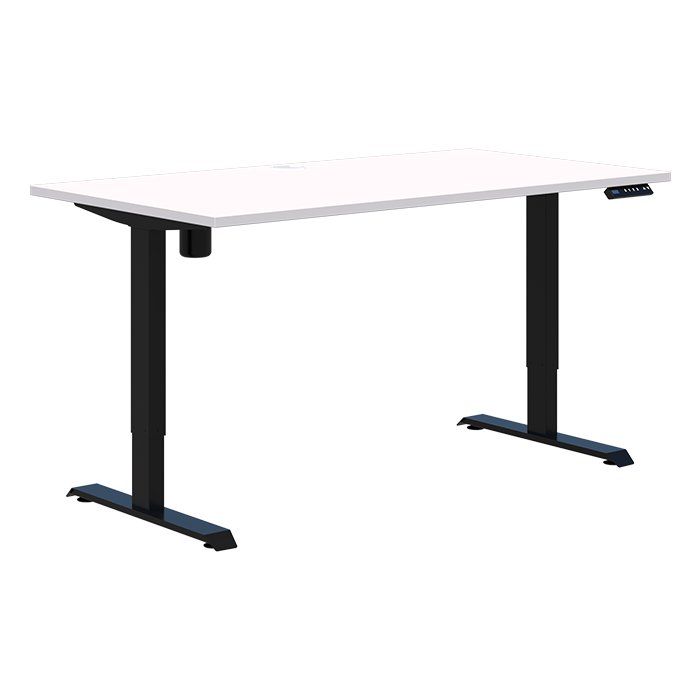 Duo II Electric Desk