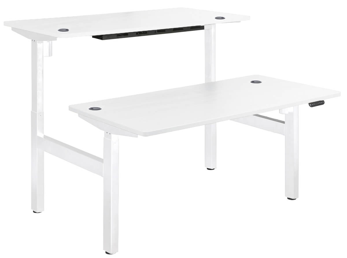 B2B Electric Height Adjustable Desk