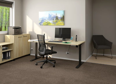 Agile Boost Electric Single Motor Standing Desk