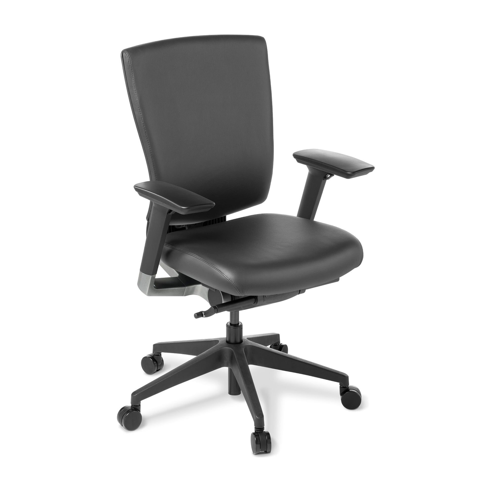 Cloud Upholstered with Arms in Black Leather