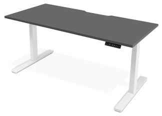 Standing Desk -Evolve Electric Scalloped Top – Uno Furniture | NZ