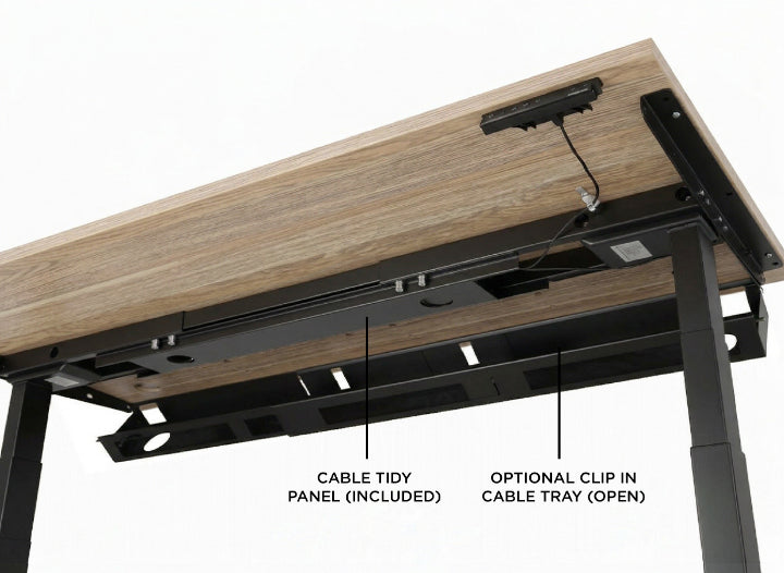 Evolve Electric Standing Desk Scalloped Desktop