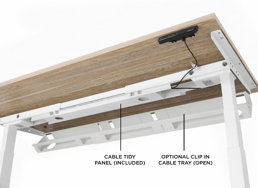 Evolve Electric Standing Desk Scalloped Desktop