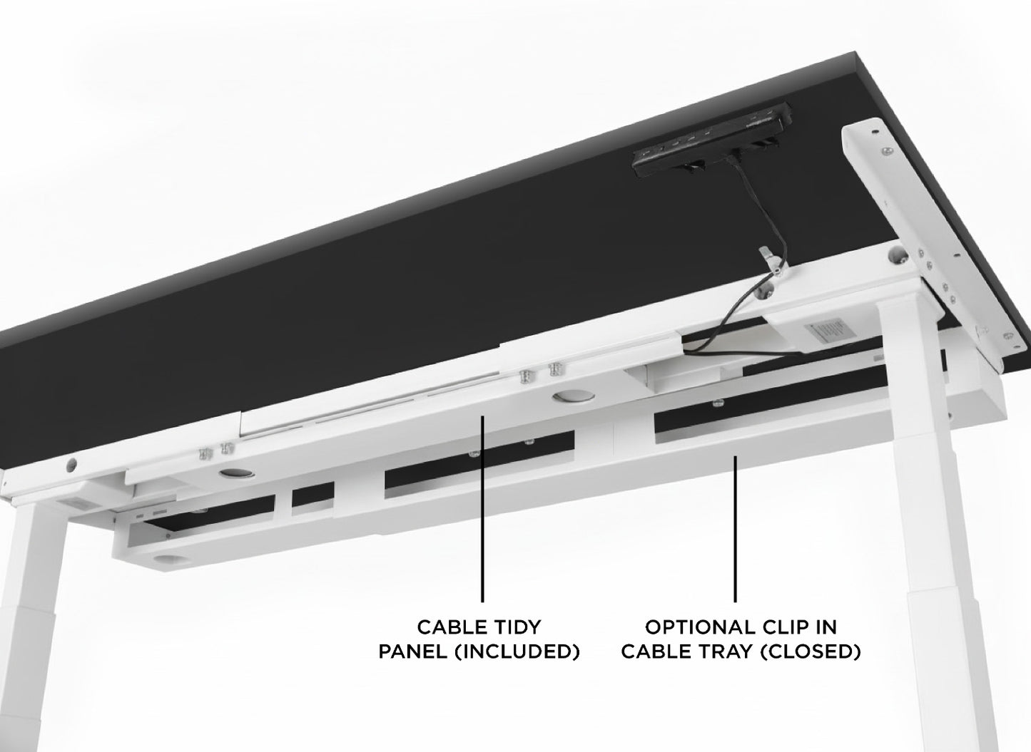 Evolve Electric Standing Desk Scalloped Desktop