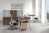 Wooden doors office cupboard Dark Oak