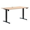 Duo II Electric Desk