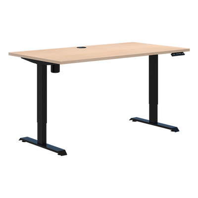 Duo II Electric Desk