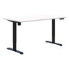 Duo II Electric Desk