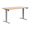 Duo II Electric Desk