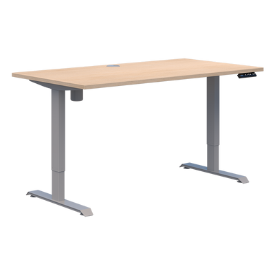 Duo II Electric Desk