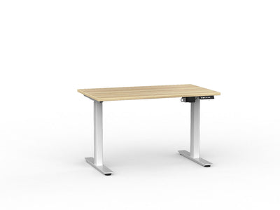Standing Desk Electric Individual