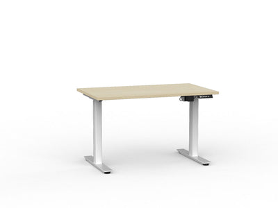 Standing Desk Electric Individual