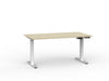 Standing Desk Electric Individual