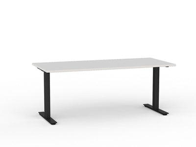 Metal Leg Fixed Height Desk Atlantic Oak Desktop and Silver Leg
