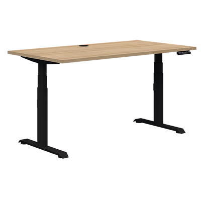 Summit II Single Electric Desk