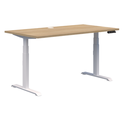 Summit II Single Electric Desk