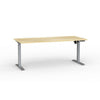 Agile Boost Electric Single Motor Standing Desk