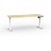 Agile Boost Electric Single Motor Standing Desk